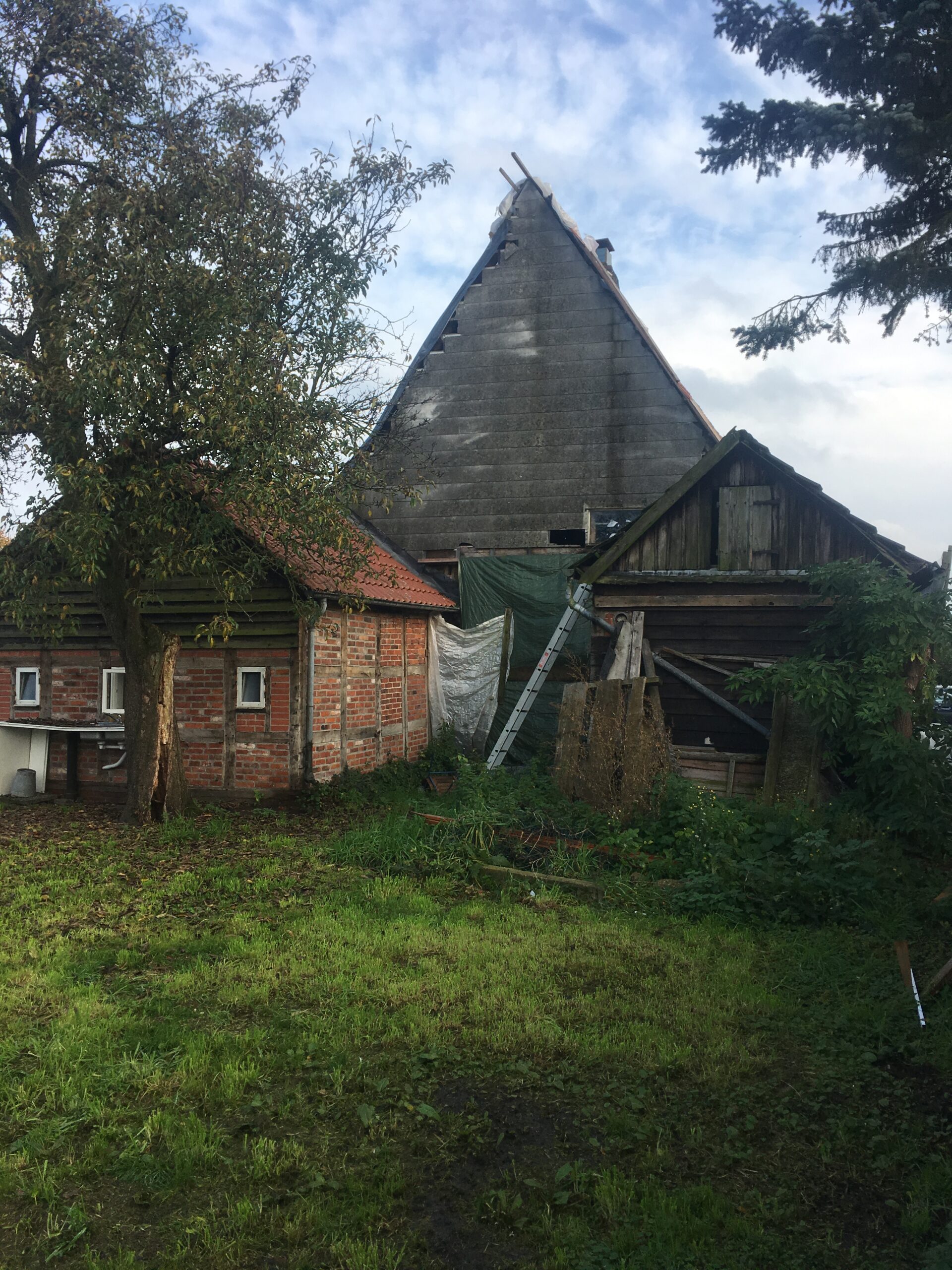 Fotografin: Anne Willenborg