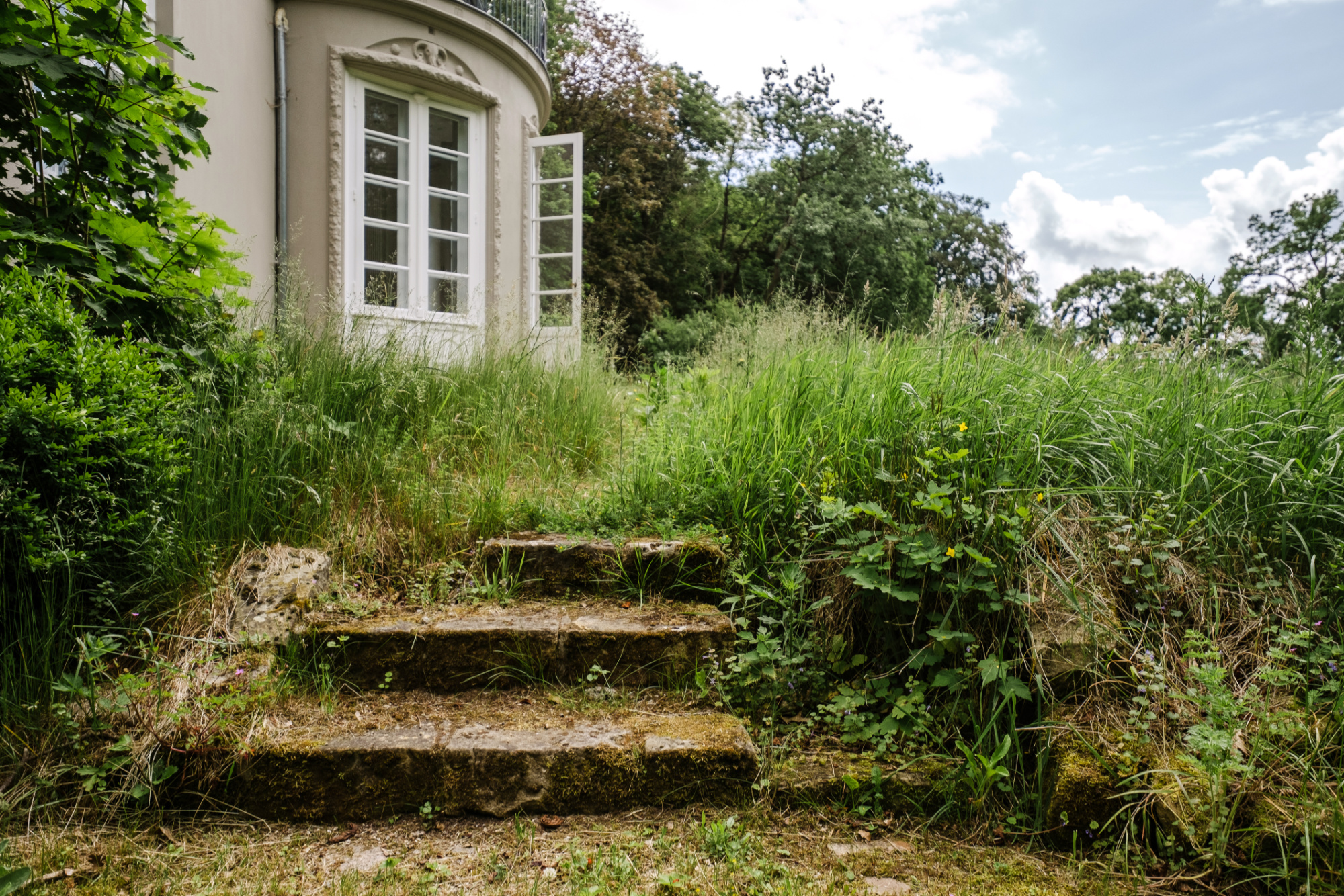 Gutspark Barendorf, Foto: Insa Hagemann