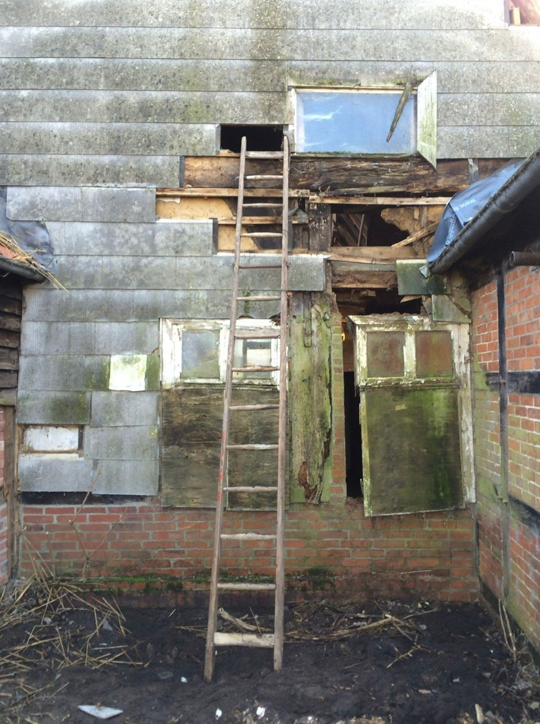 Fotos: Anne Willenborg