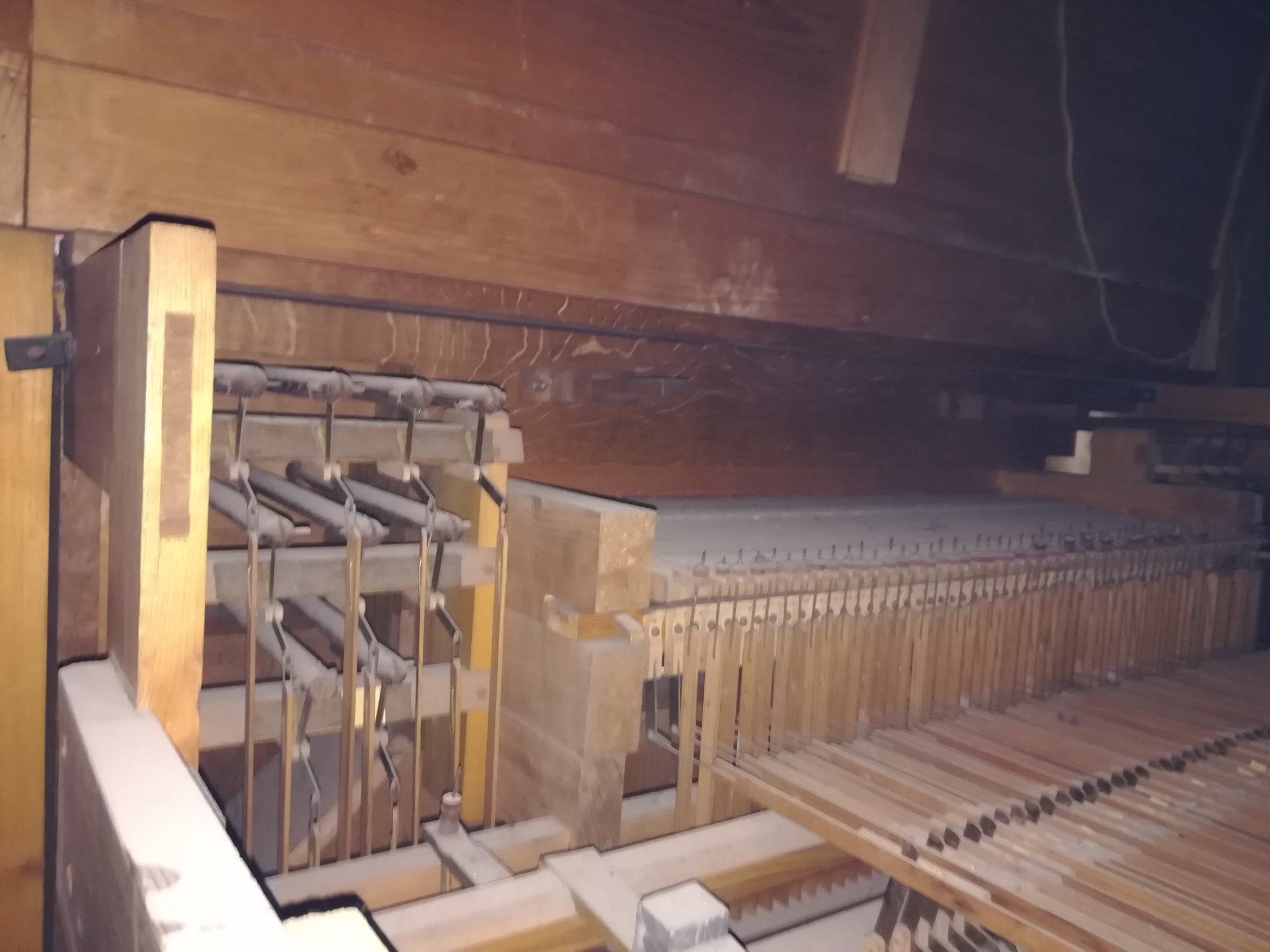 Bildeigner: D. Fischer, Foto: privat