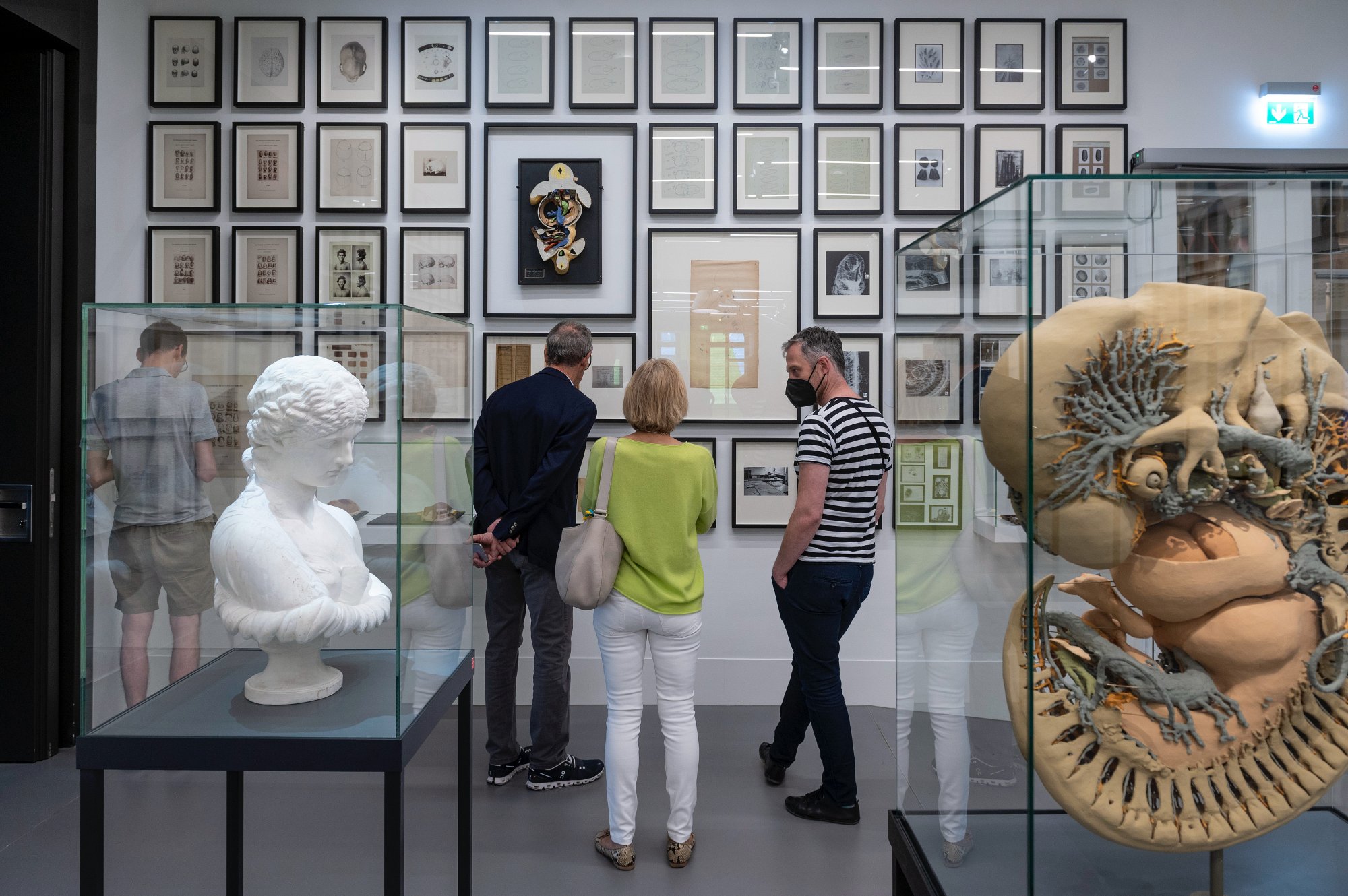 Ausstellungsräume "Räume des Wissens", Foto: Peter Heller