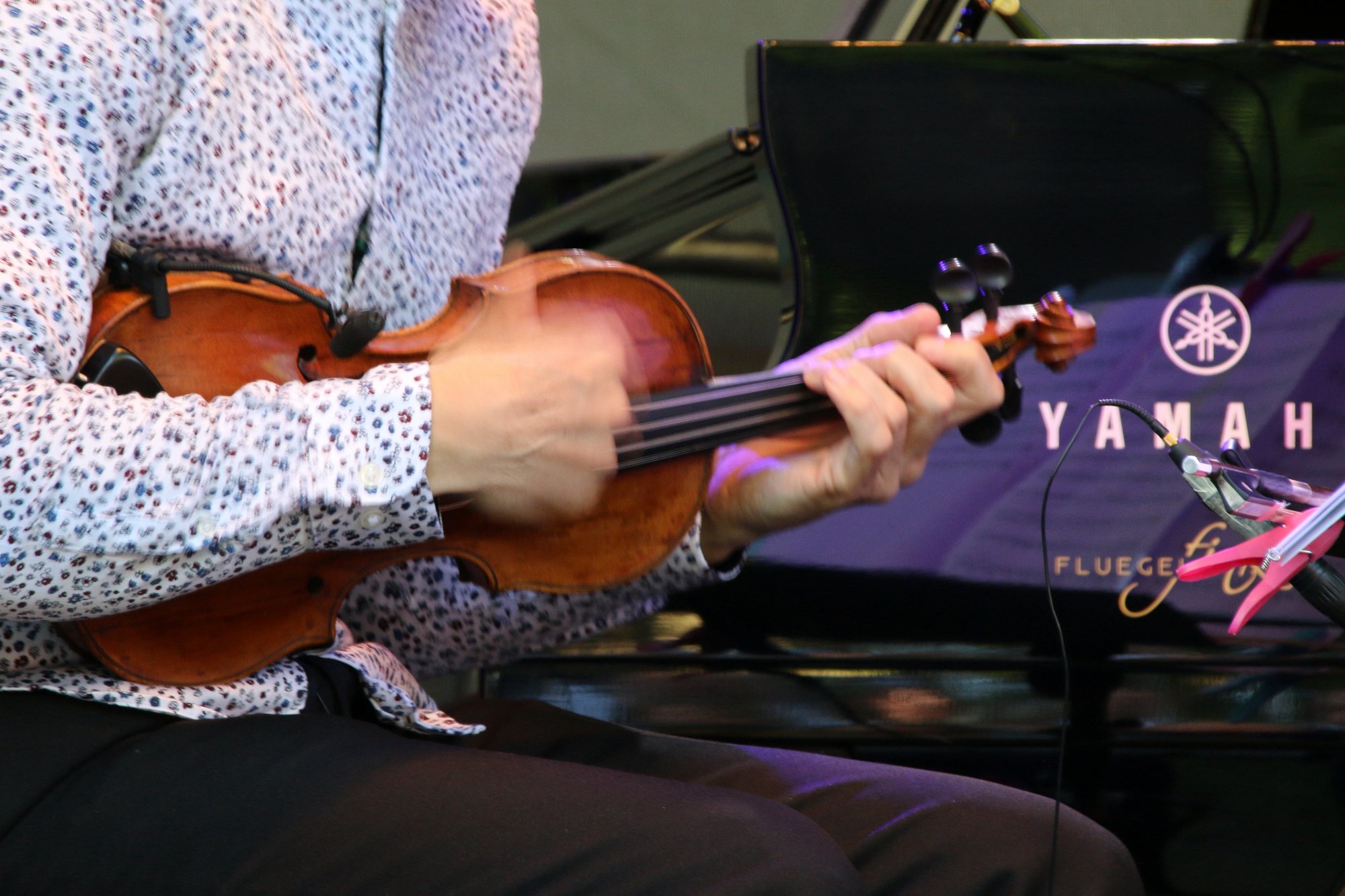 Festival aufm Platz 2023, Wochenende 1, Foto: Jörg Zimmermann