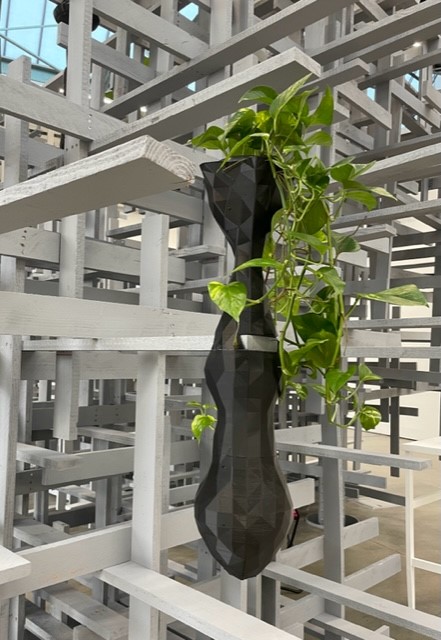 Foto: Ulrike Schneider