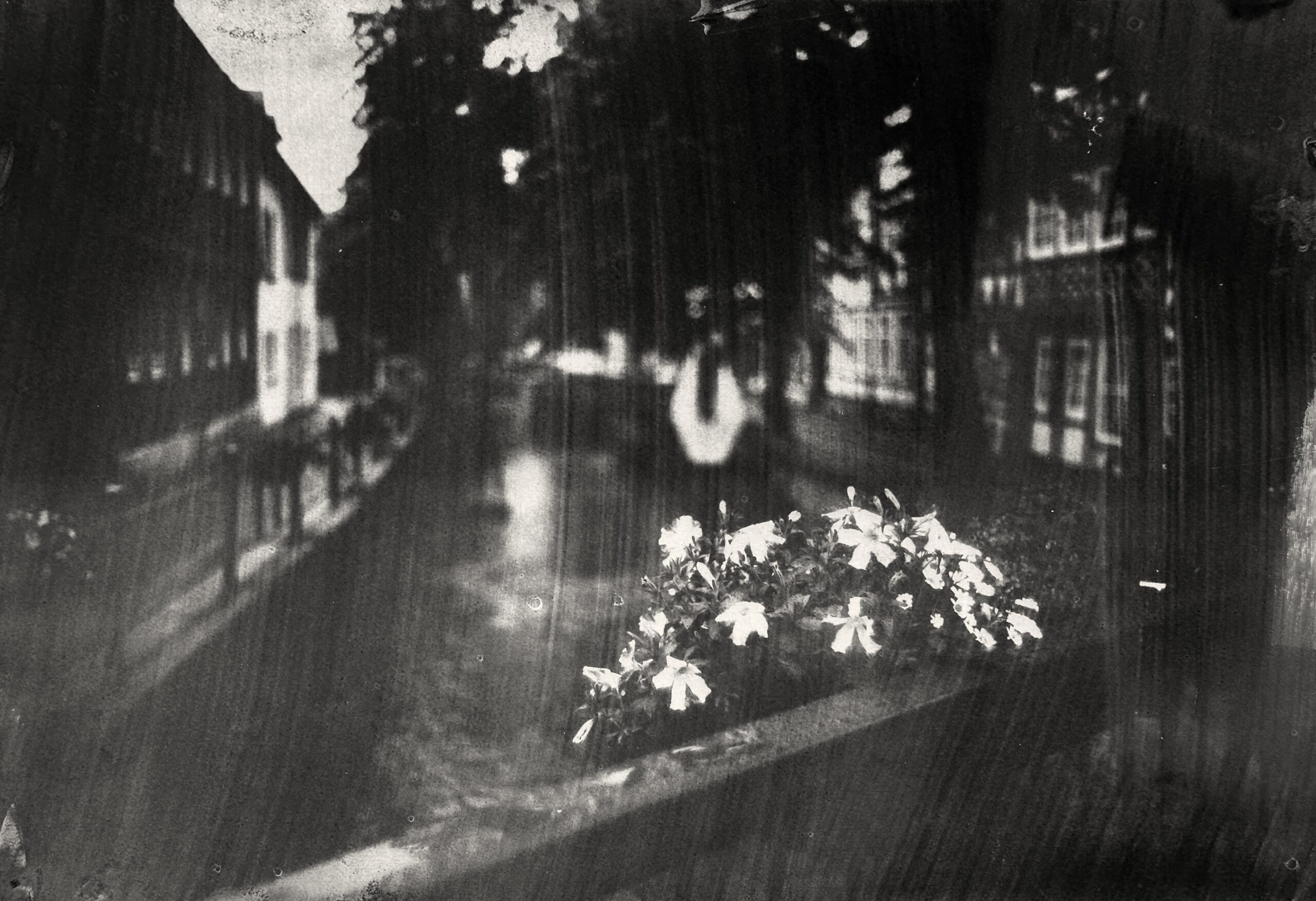 Foto: Marcel van Eeden und Galerie Barbara Seiler