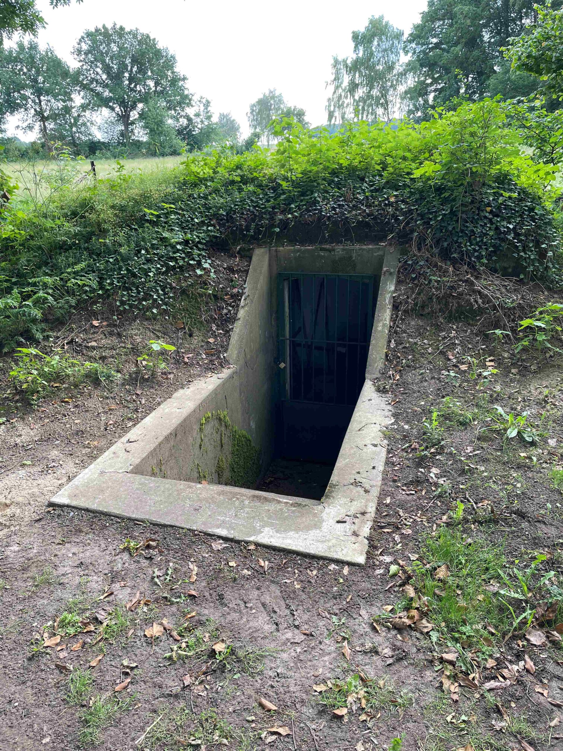 Eingang Widder, Foto: Klaus Voigts